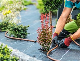 Drip Irrigation Photo 43