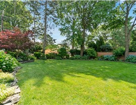 Landscape Designing Photo 60