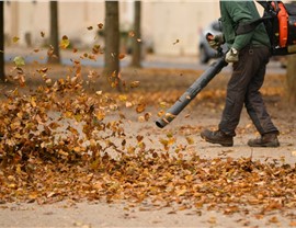 Fall Cleanup Photo 15