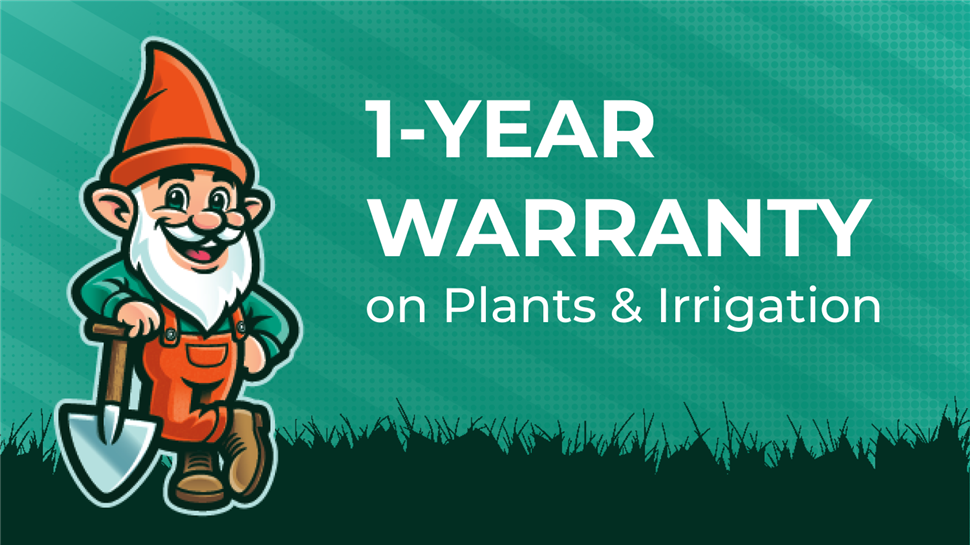 1-Year Warranty on All Plants & Irrigation