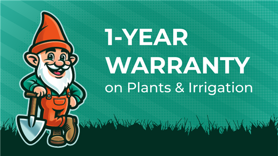 1-Year Warranty on All Plants & Irrigation
