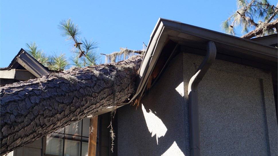 Storm Damage Photo 64