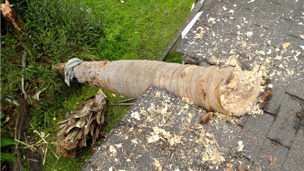 Storm Damage - Insurance Claims Photo 1