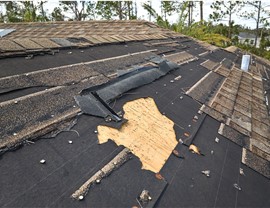 Service Areas - Storm Damage Photo 3
