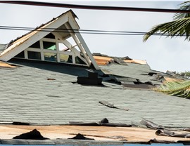 Storm Damage - Hurricane Damage Photo 3