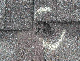 Storm Damage - Hail Damage Photo 2