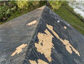 Storm Damage - Wind Damage Photo 3