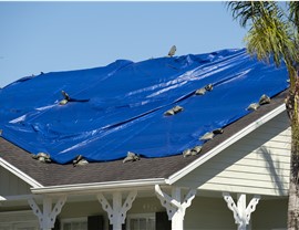 Storm Damage Photo 2