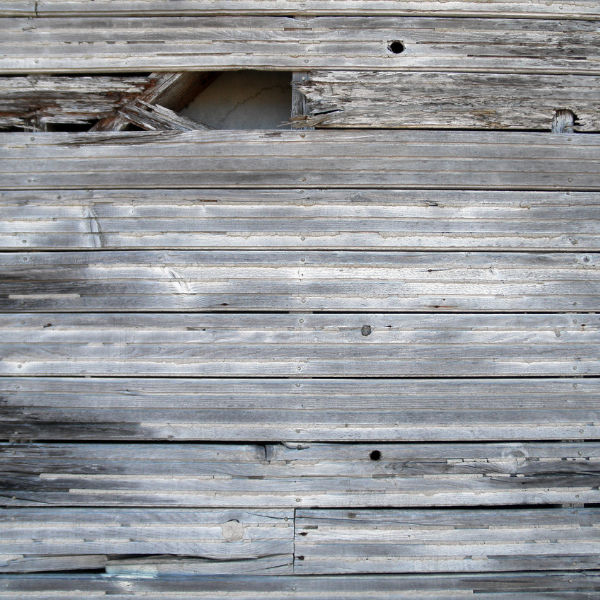 An image showing house siding damage.