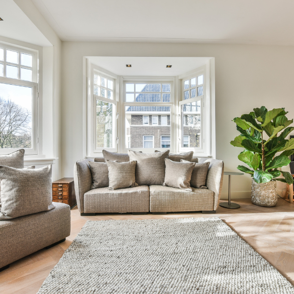 Picture of a peaceful living room with new noise-reducing windows in San Antonio.