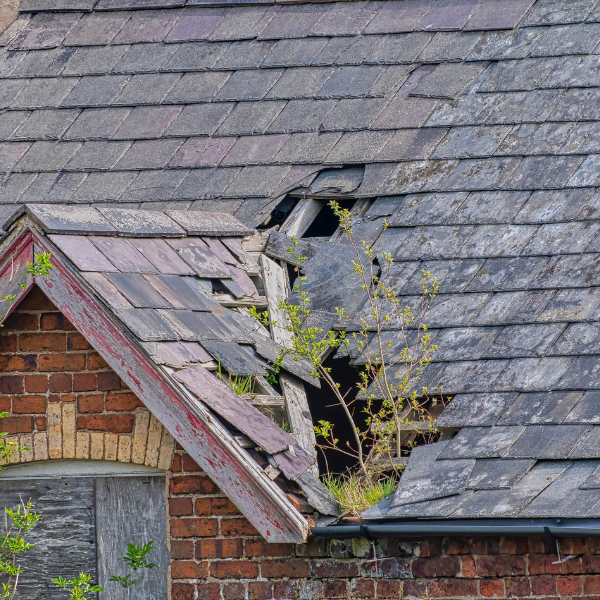 An image showing an old, historical building in need of new slate tiles. 