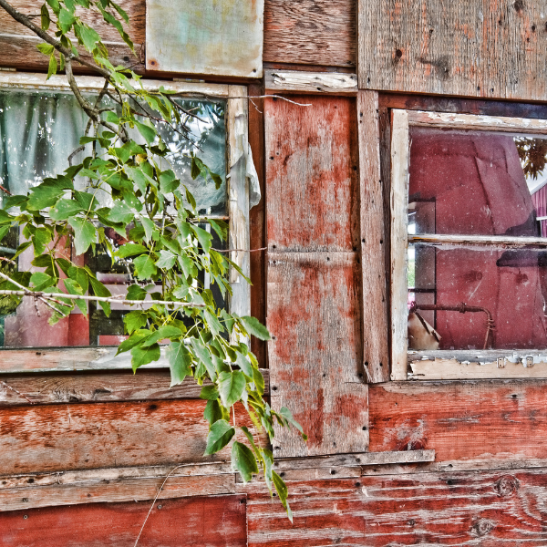 An image showing aging windows with drafts and foggy glass.