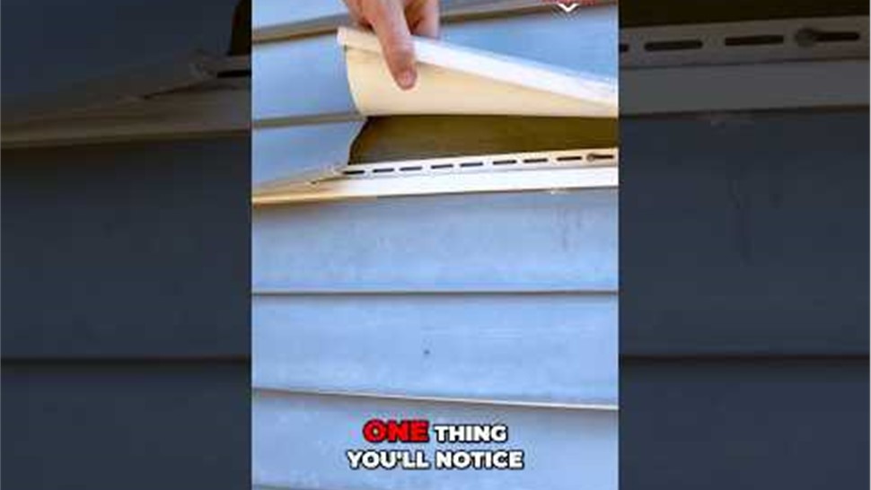 YouTube Videos Video 41