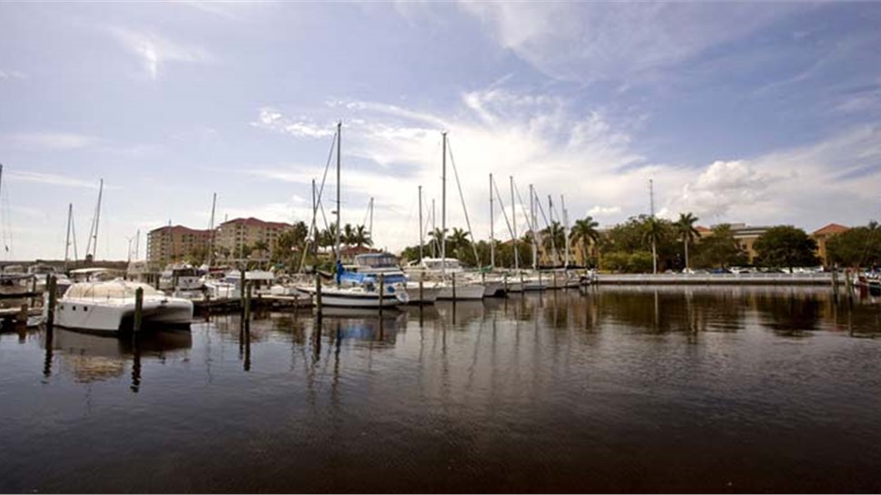 Bradenton Movers Photo 1