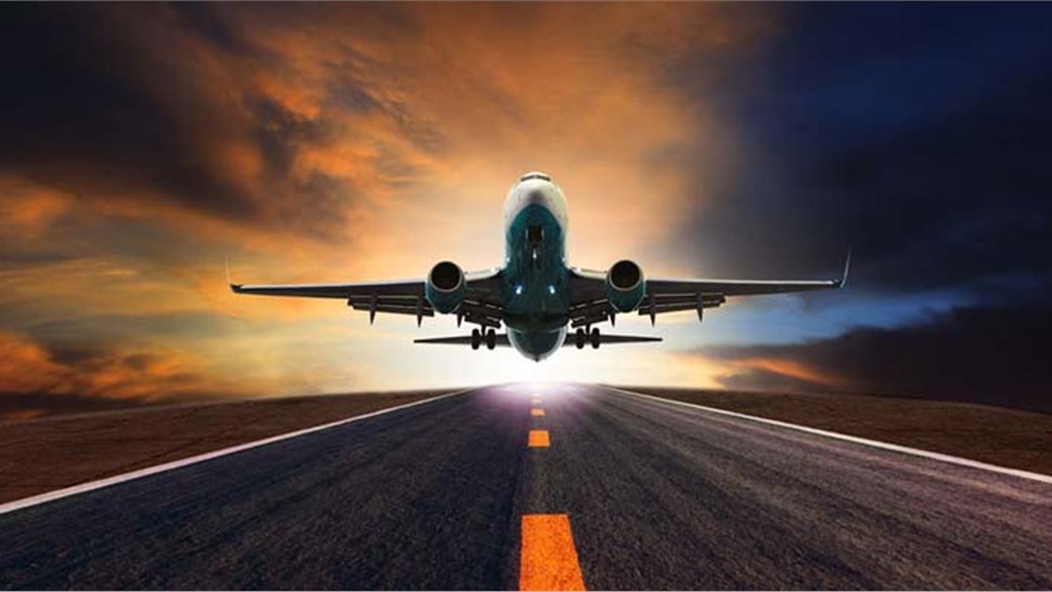 Bradenton International Movers Photo 1