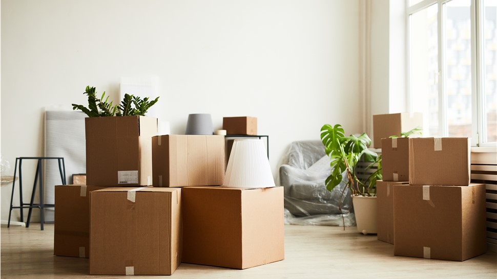 Interior Design Moving Services Photo 1