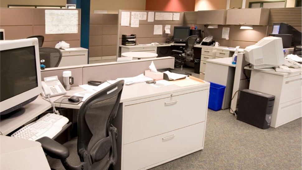 Bradenton Office Moving Photo 1