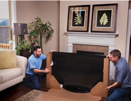 Household movers v2 Photo 2