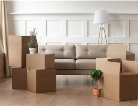 Interior Design Moving Services Photo 3