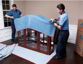 Household movers v2 Photo 3