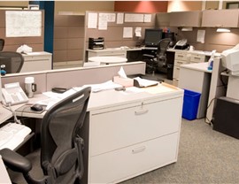 Office movers v2 Photo 4