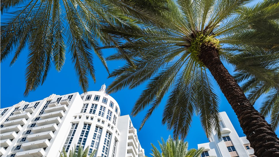 South Florida Hotel moving company