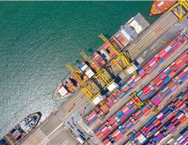 Import / Export Services Photo 11