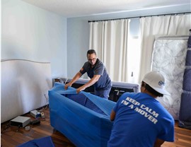 White glove movers in south florida
