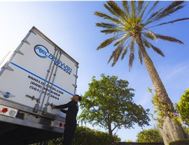 Local Moving - Miguel Video Photo 2