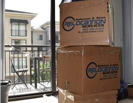 Packing Items in Boxes for Florida Apartment Move