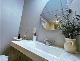 Basement Bathroom Photo 44