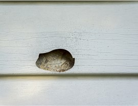 Storm Damage Photo 5