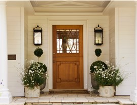 Doors Photo 4