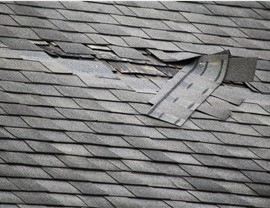 Storm Damage Photo 2