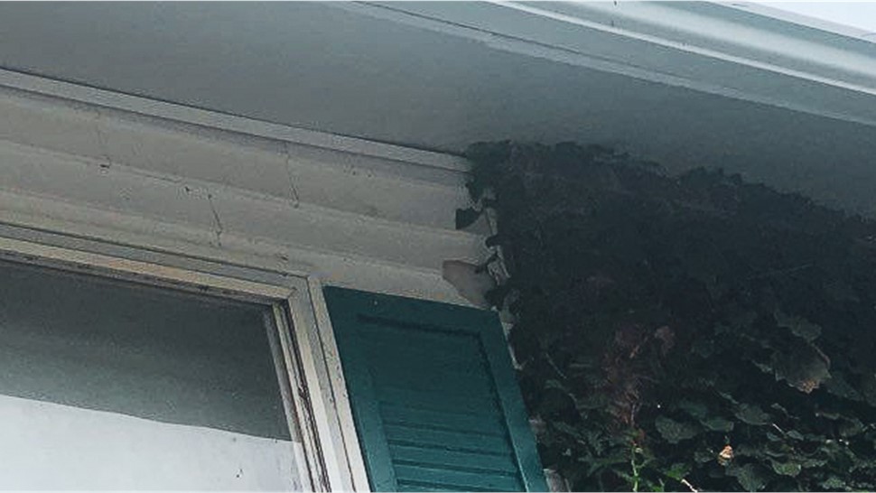 Siding, Storm Damage Project in Bolingbrook, IL by Stan's Roofing & Siding