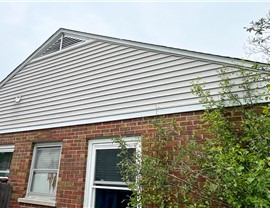 Gutters, Roofing, Siding, Soffit and Fascia Project in Orland Park, IL by Stan's Roofing & Siding