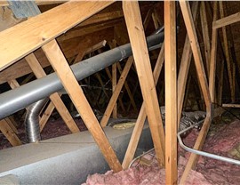 Attic Insulation Project in Westchester, IL by Stan's Roofing & Siding