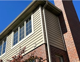 Siding Project in Orland Park, IL by Stan's Roofing & Siding