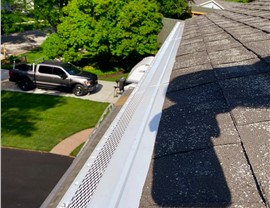 Gutters, Soffit and Fascia Project in Naperville, IL by Stan's Roofing & Siding