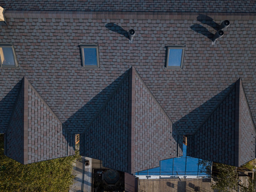 What Ruins Asphalt Shingles in Seattle, WA?