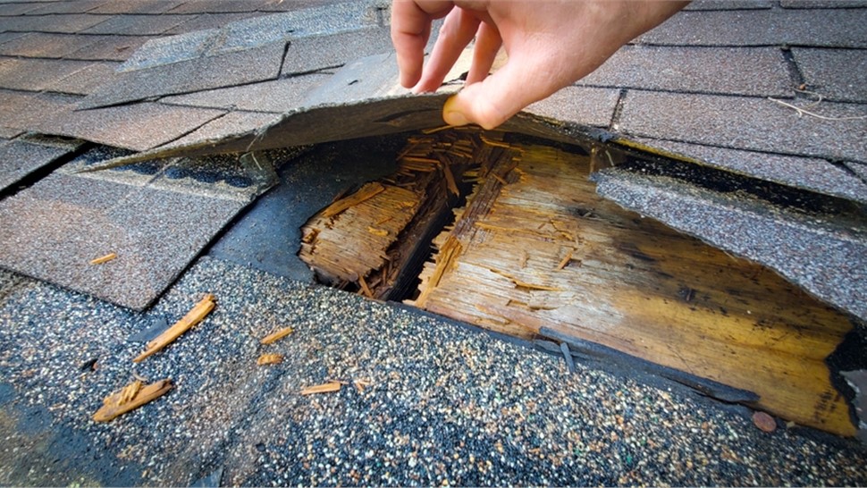 Insurance Claims Photo 26