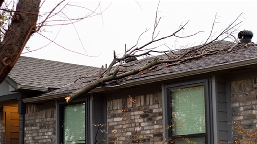 Storm Damage Photo 9