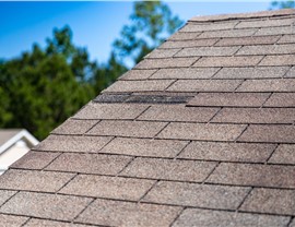 Wind Damage Photo 26