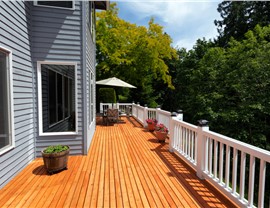 Deck Options Photo 64
