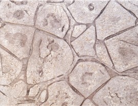 Stamped Concrete Photo 97