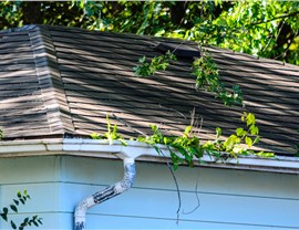 Gutter Maintenance Photo 36