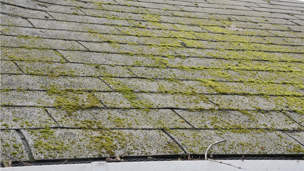 Roofing Project in Seattle, WA by State Roofing & Exteriors