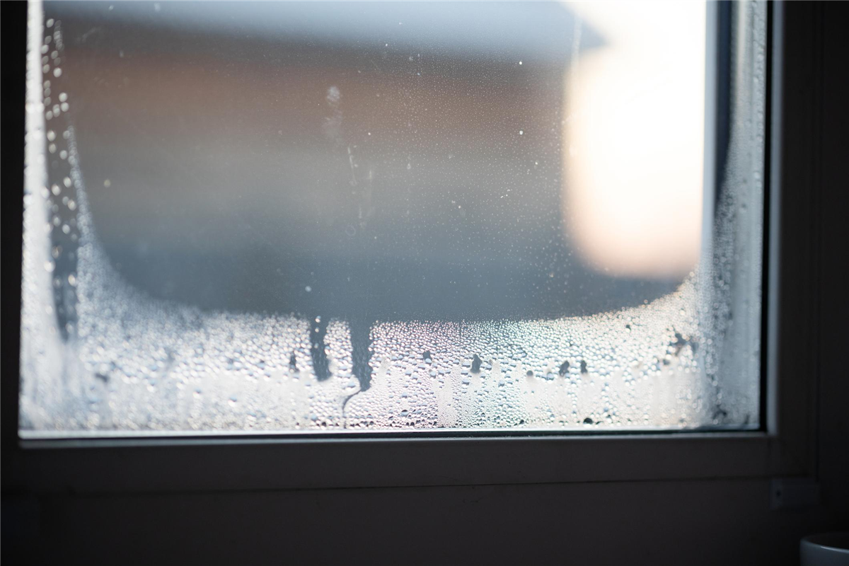 Common Window Problems in South Florida Homes