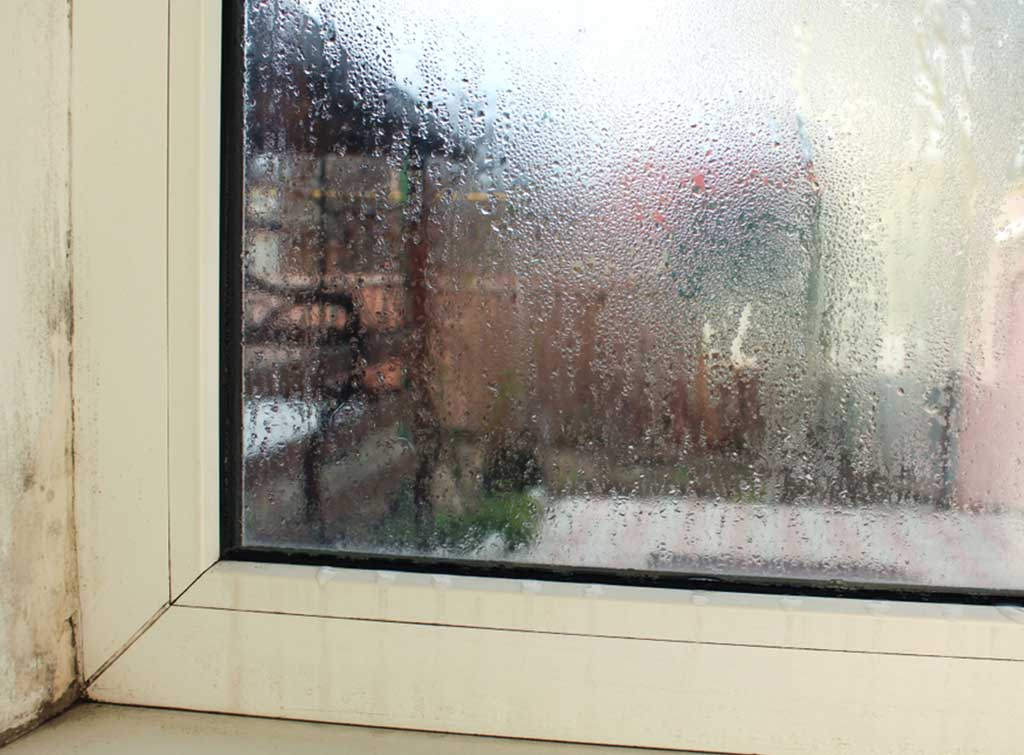 Signs Your Windows Are Not Hurricane-Ready | A South Florida Homeowner Guide