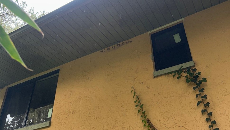 Windows Project in Vero Beach, Florida by Statewide Windows & Doors